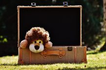 Les différents types de valises pour enfants disponibles sur le marché