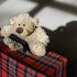Les valises pour enfants à motifs originaux : comment choisir le design parfait pour votre enfant?